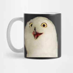 O RLY? Owl Mug